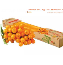 Мармелад (Челябинск (Россия)) облепиха 100 гр