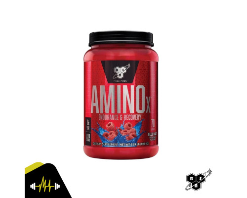 Amino-X (BSN (США)) 1020гр Голубика