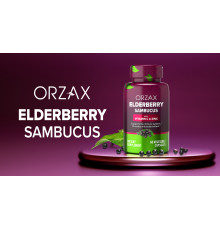 Elderberry (Orzax Турция) 60капс.