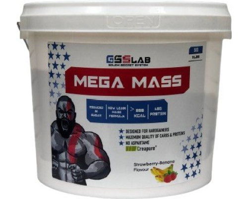 Mega Mass (GSS США) 5кг Ваниль