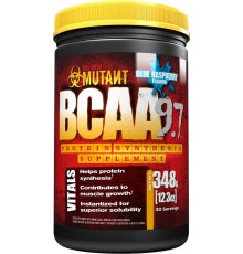 BCAA 348гр Blue Rasberry