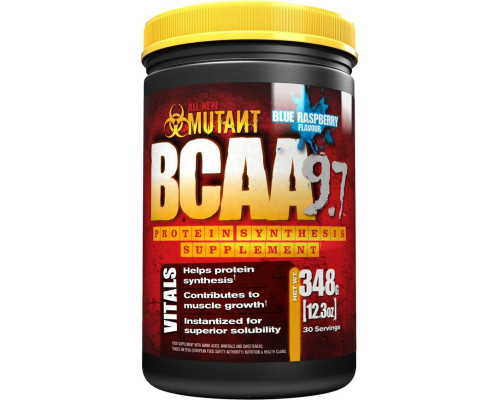 BCAA 348гр Blue Rasberry