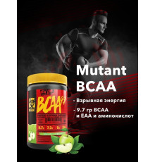BCAA 348гр алма/яблоко