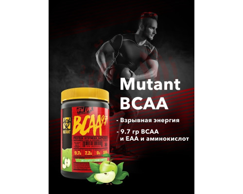 BCAA 348гр алма/яблоко BCAA 348гр алма/яблоко